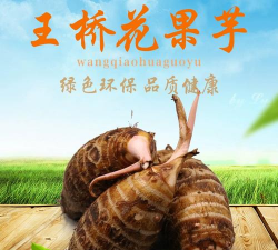 家里阳光不足怎么养花，选对植物种类，掌握养护技巧