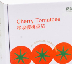 家里阳光不足怎么养花，选对植物种类，掌握养护技巧