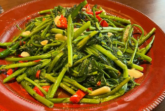 家里阳光不足怎么养花，选对植物种类，掌握养护技巧