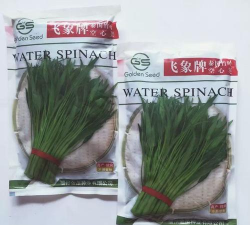 家里阳光不足怎么养花，选对植物种类，掌握养护技巧