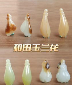 家里阳光不足怎么养花，选对植物种类，掌握养护技巧