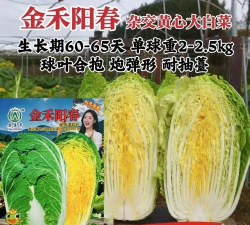 家里阳光不足怎么养花，选对植物种类，掌握养护技巧