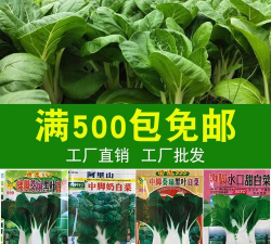 家里阳光不足怎么养花，选对植物种类，掌握养护技巧