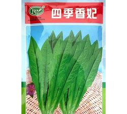 家里阳光不足怎么养花，选对植物种类，掌握养护技巧