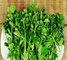 家里阳光不足怎么养花，选对植物种类，掌握养护技巧