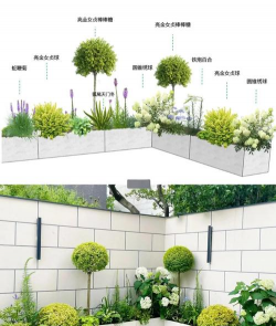 家里阳光不足怎么养花，选对植物种类，掌握养护技巧