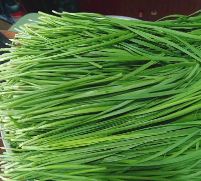 家里阳光不足怎么养花，选对植物种类，掌握养护技巧