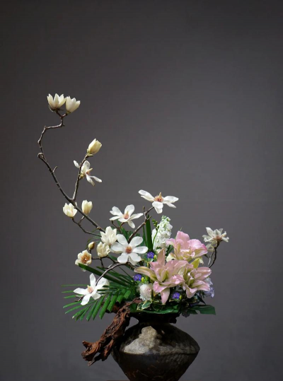 家里阳光不足怎么养花，选对植物种类，掌握养护技巧