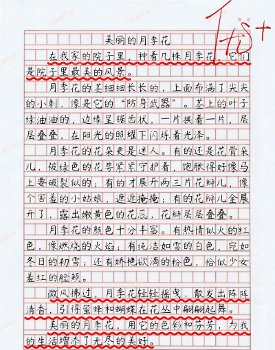 家里阳光不足怎么养花，选对植物种类，掌握养护技巧