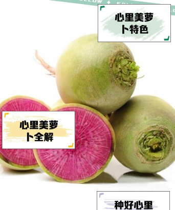 家里阳光不足怎么养花，选对植物种类，掌握养护技巧