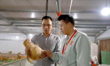 小众送妈妈的花有哪些花