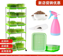 家里阳光不足怎么养花，选对植物种类，掌握养护技巧