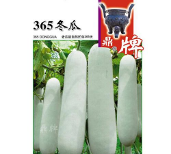 家里阳光不足怎么养花，选对植物种类，掌握养护技巧