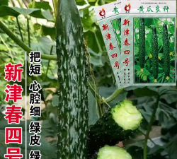 家里阳光不足怎么养花，选对植物种类，掌握养护技巧