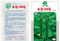 家里阳光不足怎么养花，选对植物种类，掌握养护技巧