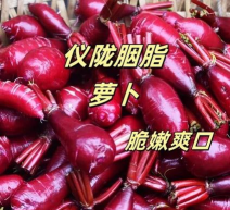 家里阳光不足怎么养花，选对植物种类，掌握养护技巧