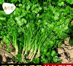 家里阳光不足怎么养花，选对植物种类，掌握养护技巧