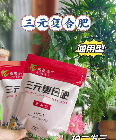 家里阳光不足怎么养花，选对植物种类，掌握养护技巧
