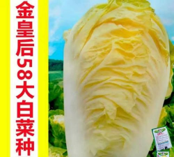 家里阳光不足怎么养花，选对植物种类，掌握养护技巧