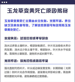 家里阳光不足怎么养花，选对植物种类，掌握养护技巧
