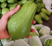 家里阳光不足怎么养花，选对植物种类，掌握养护技巧