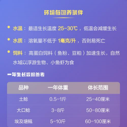 家里阳光不足怎么养花，选对植物种类，掌握养护技巧