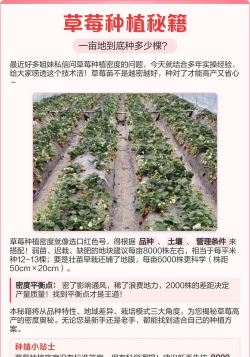 家里阳光不足怎么养花，选对植物种类，掌握养护技巧