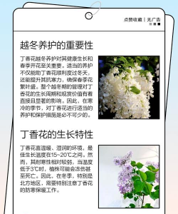 家里阳光不足怎么养花，选对植物种类，掌握养护技巧