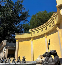 家里阳光不足怎么养花，选对植物种类，掌握养护技巧