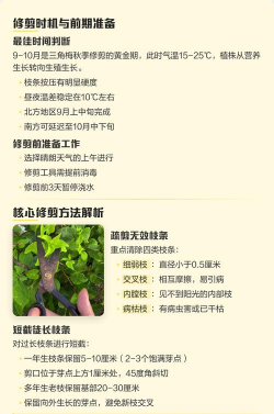 家里阳光不足怎么养花，选对植物种类，掌握养护技巧
