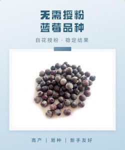 家里阳光不足怎么养花，选对植物种类，掌握养护技巧