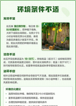 家里阳光不足怎么养花，选对植物种类，掌握养护技巧