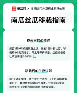 家里阳光不足怎么养花，选对植物种类，掌握养护技巧