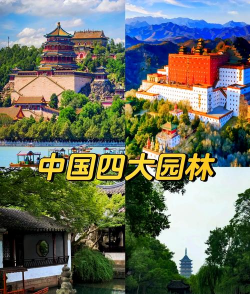 家里阳光不足怎么养花，选对植物种类，掌握养护技巧