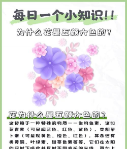 家里阳光不足怎么养花，选对植物种类，掌握养护技巧