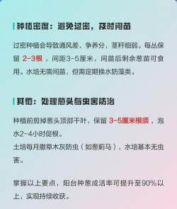 家里阳光不足怎么养花，选对植物种类，掌握养护技巧