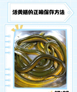 家里阳光不足怎么养花，选对植物种类，掌握养护技巧