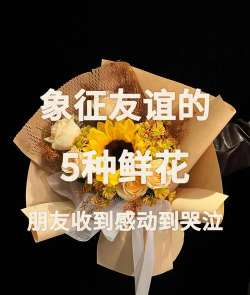 家里阳光不足怎么养花，选对植物种类，掌握养护技巧