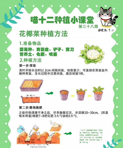 家里阳光不足怎么养花，选对植物种类，掌握养护技巧