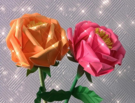 花有哪些手工活动 花有哪些手工活动