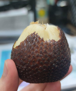 家里阳光不足怎么养花，选对植物种类，掌握养护技巧