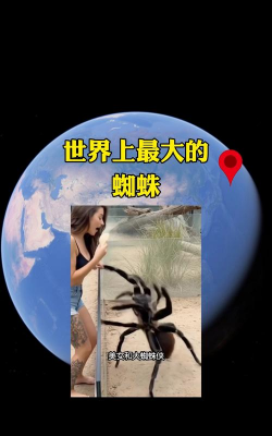 家里阳光不足怎么养花，选对植物种类，掌握养护技巧