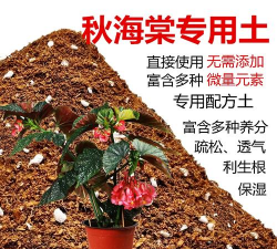 家里阳光不足怎么养花，选对植物种类，掌握养护技巧