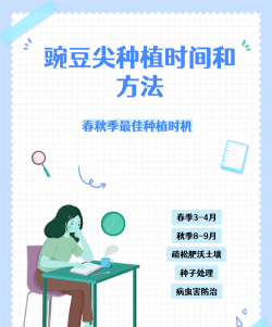 家里阳光不足怎么养花，选对植物种类，掌握养护技巧