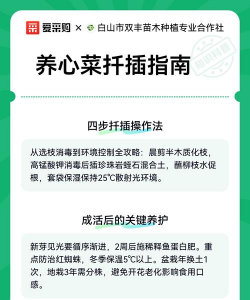家里阳光不足怎么养花，选对植物种类，掌握养护技巧
