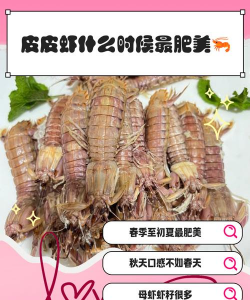 家里阳光不足怎么养花，选对植物种类，掌握养护技巧