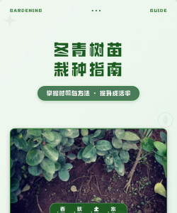 家里阳光不足怎么养花，选对植物种类，掌握养护技巧