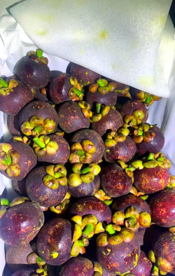 小众送妈妈的花有哪些花