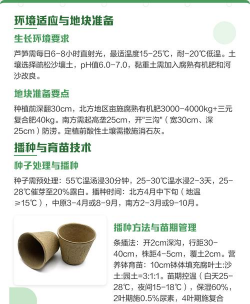 家里阳光不足怎么养花，选对植物种类，掌握养护技巧