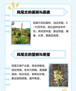 家里阳光不足怎么养花，选对植物种类，掌握养护技巧